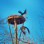 Prázdninový dům Uylkenshof Safaritenten En Natuurhuisjes *