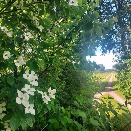 Nyaraló Uylkenshof Safaritenten En Natuurhuisjes *