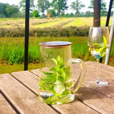 Uylkenshof Safaritenten En Natuurhuisjes * Epe