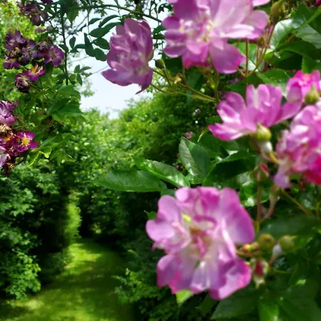Uylkenshof Safaritenten En Natuurhuisjes Epe