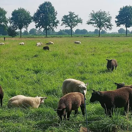 Uylkenshof Safaritenten En Natuurhuisjes 度假居 *