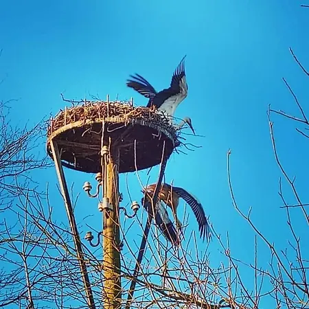度假居 Uylkenshof Safaritenten En Natuurhuisjes *