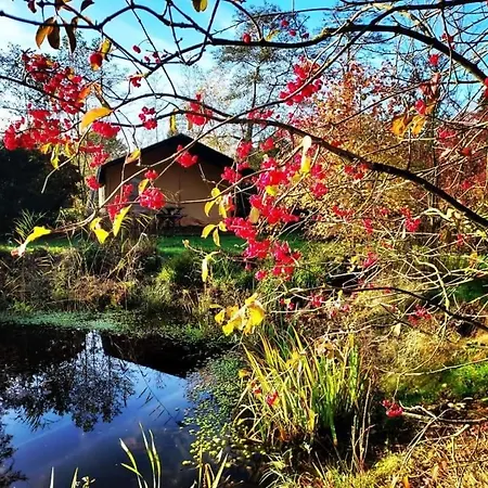 Uylkenshof Safaritenten En Natuurhuisjes * Epe