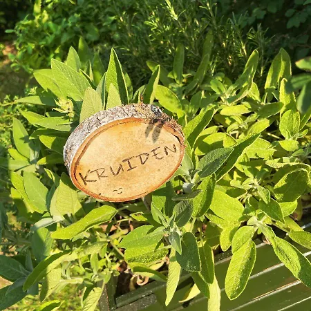 Uylkenshof Safaritenten En Natuurhuisjes