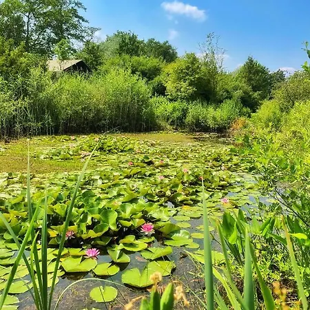 Uylkenshof Safaritenten En Natuurhuisjes * Epe