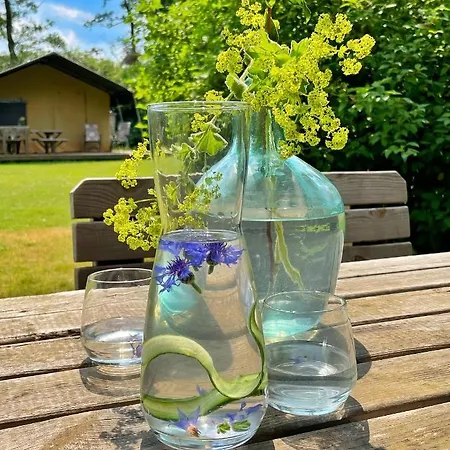Uylkenshof Vakantiehuis *