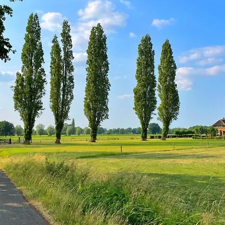 Uylkenshof Safaritenten En Natuurhuisjes Nyaraló Epe