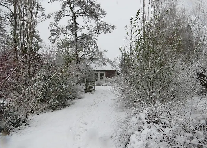 Uylkenshof Safaritenten En Natuurhuisjes 度假居