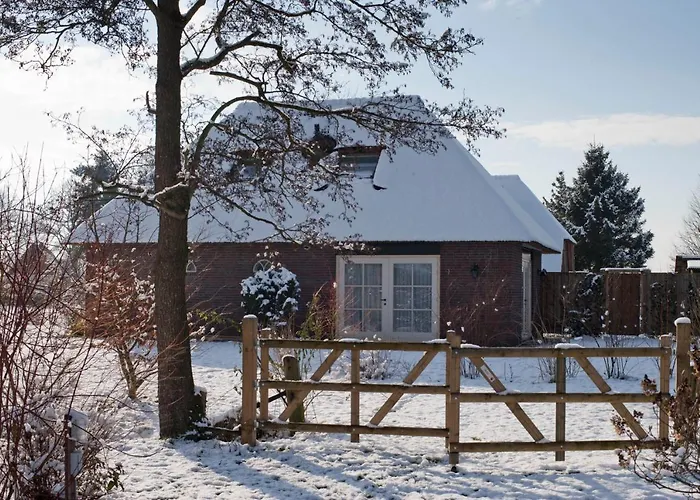 Uylkenshof Safaritenten En Natuurhuisjes Hébergement de vacances *