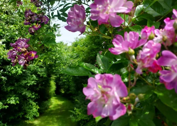 Uylkenshof Safaritenten En Natuurhuisjes 伊皮
