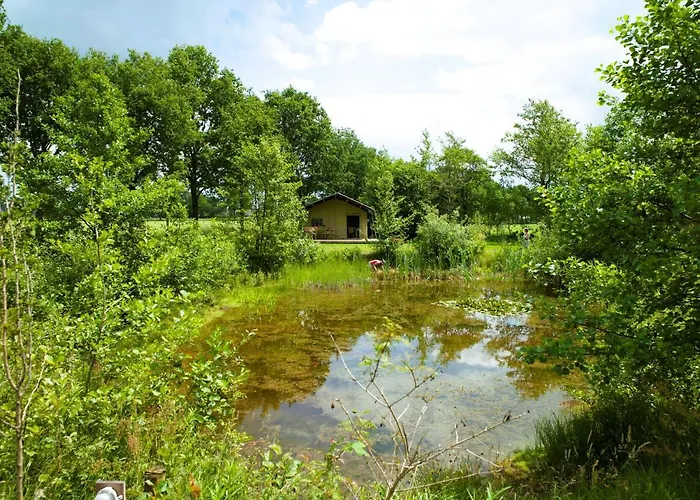 Uylkenshof Safaritenten En Natuurhuisjes Hébergement de vacances