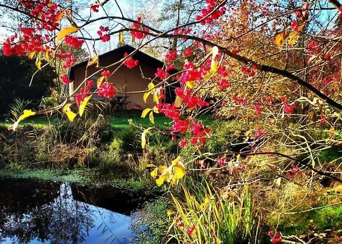 Uylkenshof Safaritenten En Natuurhuisjes * Epe