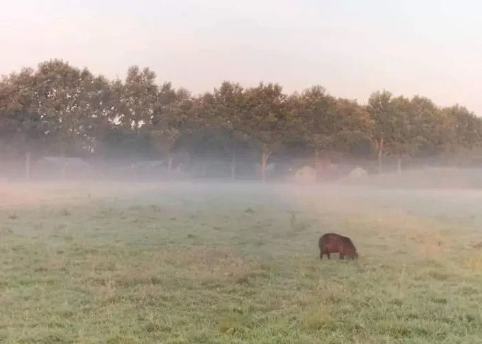 Uylkenshof Safaritenten En Natuurhuisjes 度假居 *