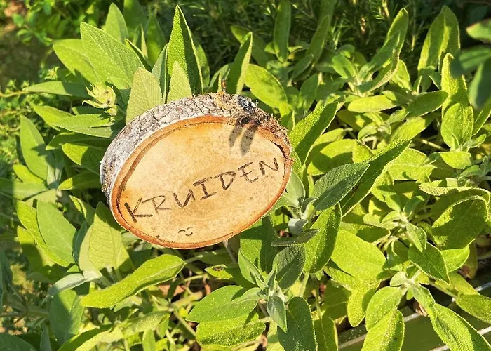 Uylkenshof Safaritenten En Natuurhuisjes