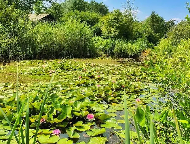 Uylkenshof Safaritenten En Natuurhuisjes * 伊皮