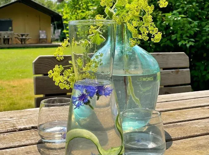 Uylkenshof Safaritenten En Natuurhuisjes Hébergement de vacances *