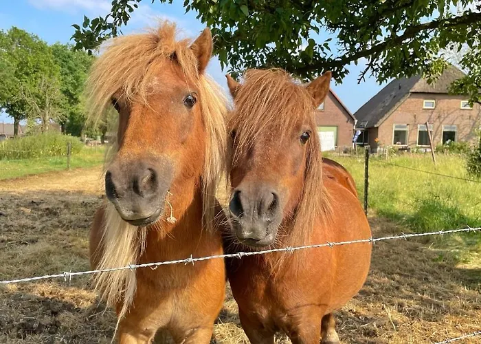 Uylkenshof Safaritenten En Natuurhuisjes 度假居 *