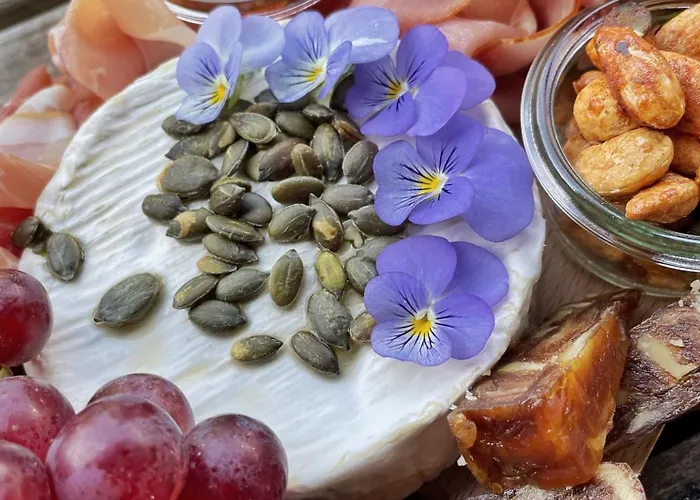 Uylkenshof Safaritenten En Natuurhuisjes Hébergement de vacances