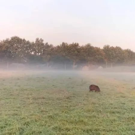 Uylkenshof Safaritenten En Natuurhuisjes Holiday home *