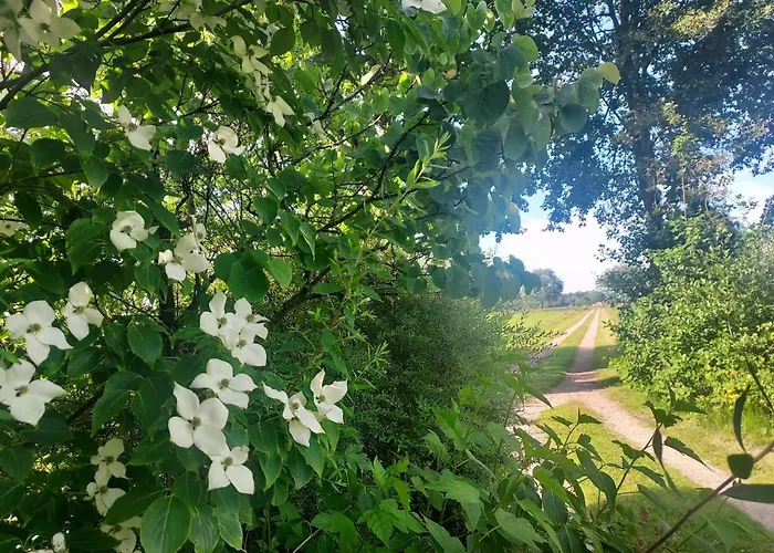 بيت للعطل Uylkenshof Safaritenten En Natuurhuisjes *