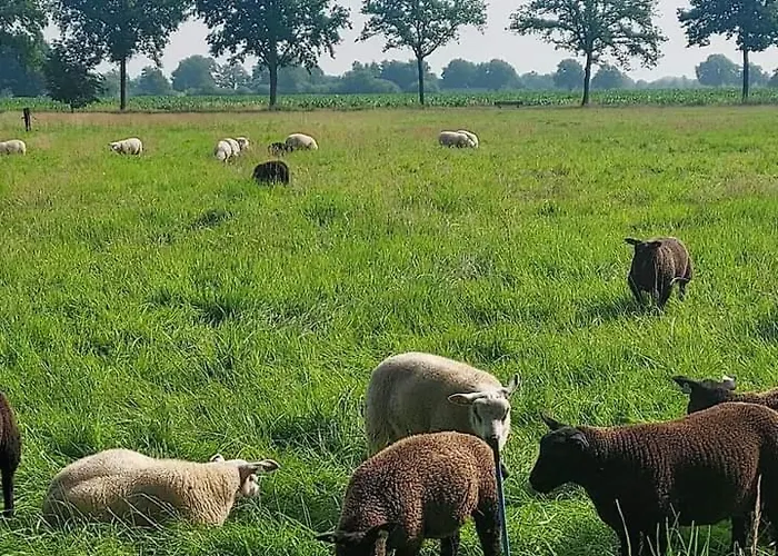 Uylkenshof Safaritenten En Natuurhuisjes بيت للعطل *