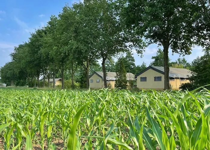 Uylkenshof Safaritenten En Natuurhuisjes