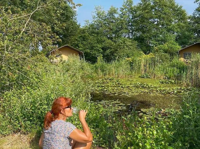 بيت للعطل Uylkenshof Safaritenten En Natuurhuisjes